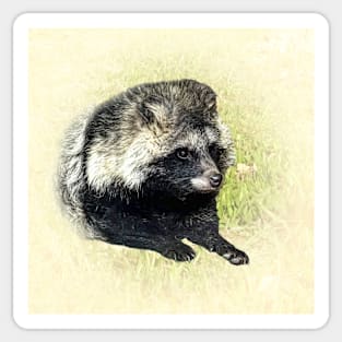 Raccoon dog Sticker